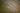 - delos_header.jpg