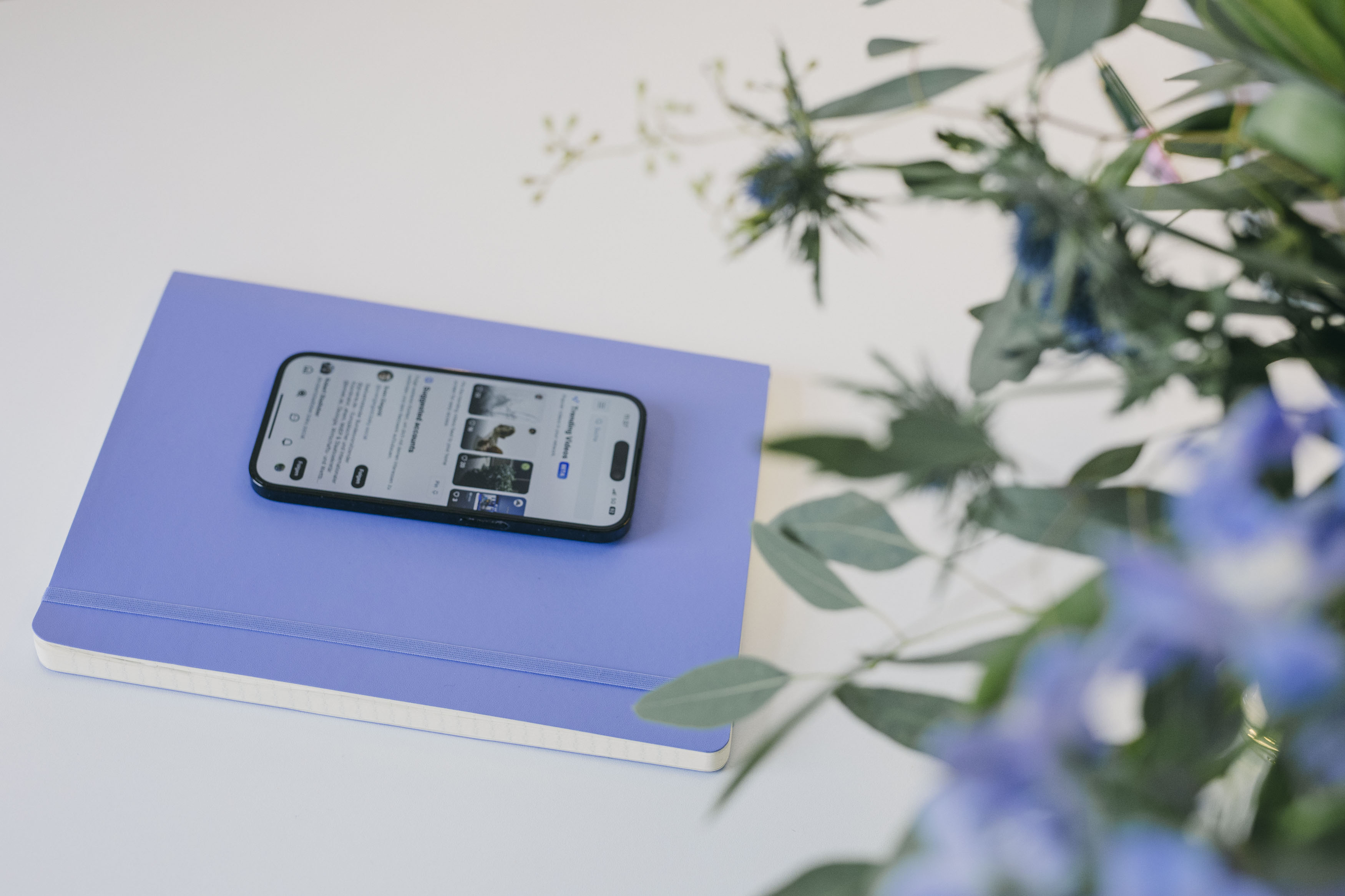 - file://sgnokasyestsyz7j